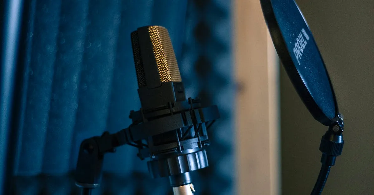 Home Studio Microphone